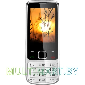 Мобильный телефон Vertex D545 (серебристый)